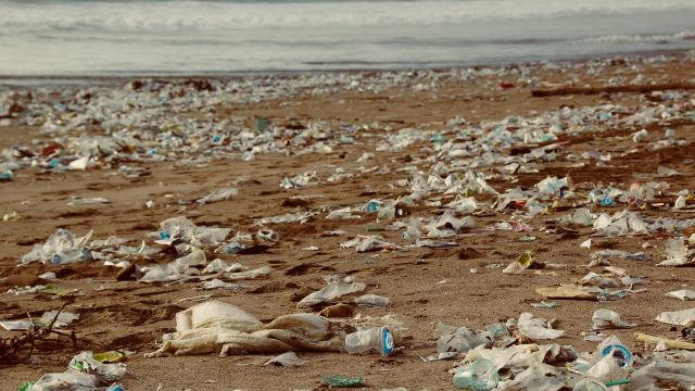 beach_plastic_waste_environment