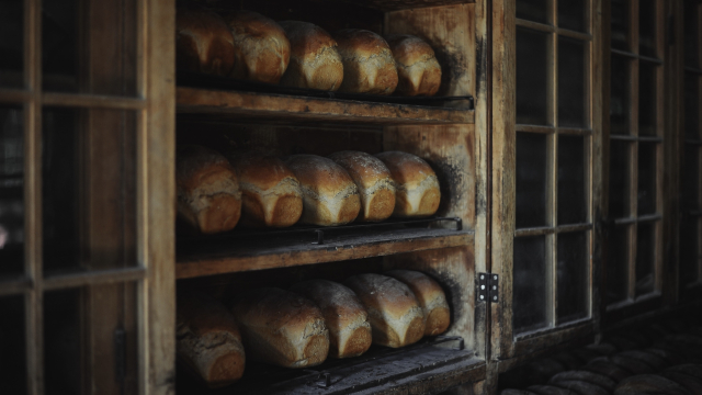 bread_loaves_shelves_unsplash