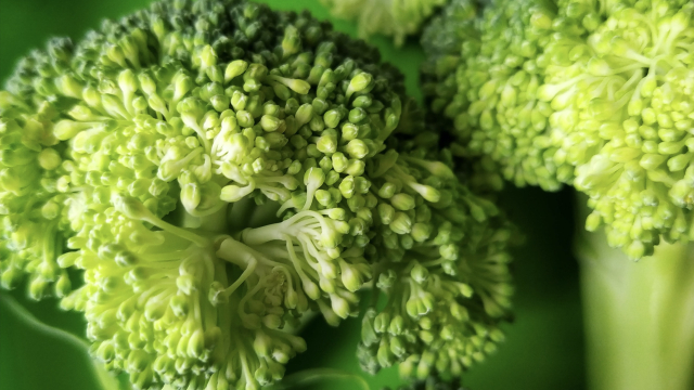 broccoli_florets_food_unsplash