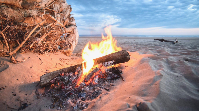 campfire_beach
