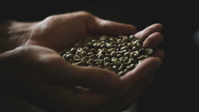 coffee_beans_hands_unsplash