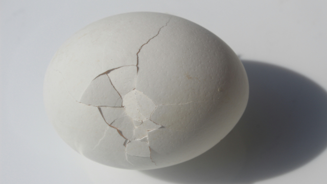 cracked_egg_unsplash
