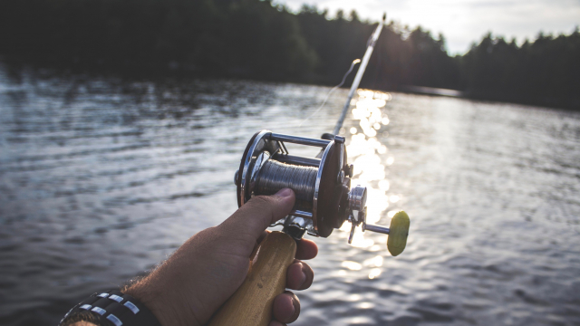 fishing_rod_lake_unsplash