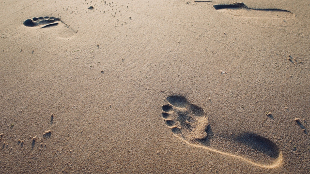 footprints_sand_beach