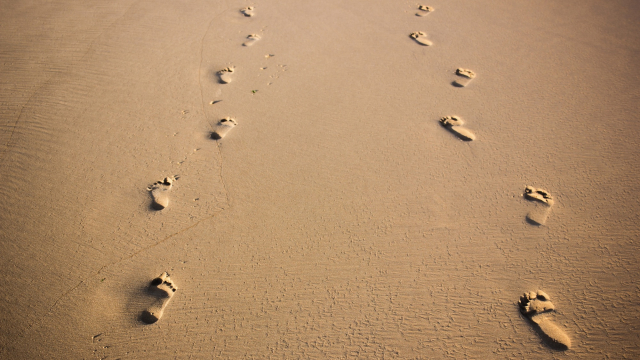 footprints_sand_beach_unsplash