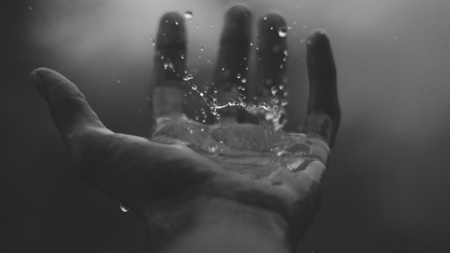 hand_water_palm_bw_unsplash