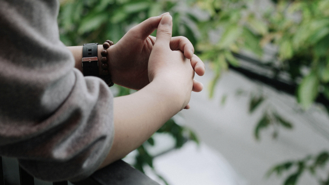 hands_together_prayer_leaves_unsplash