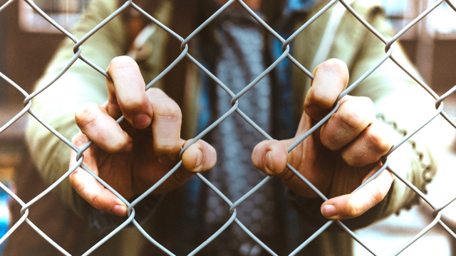 hands_wire_fence