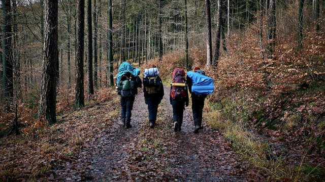 hiking_backpacks_forest_unsplash