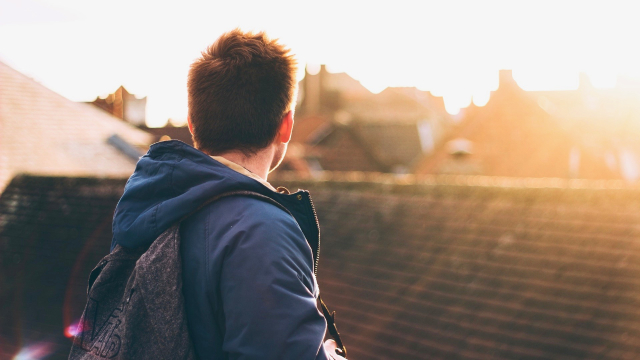 man_rooftops_sunlight