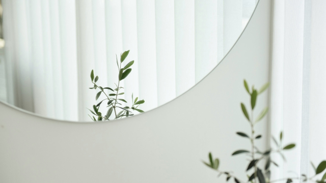 mirror_plant_unsplash