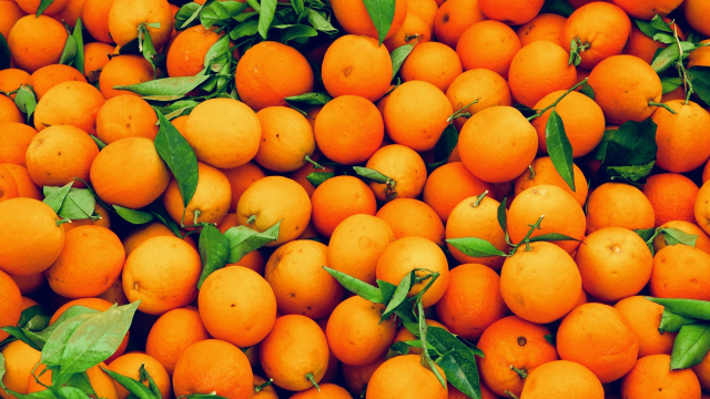 oranges_pile_fruit