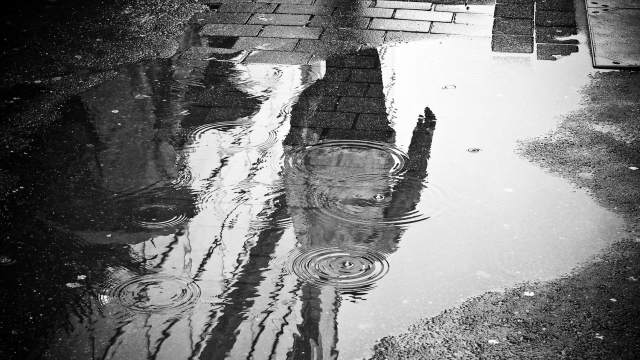 rain_puddle_urban