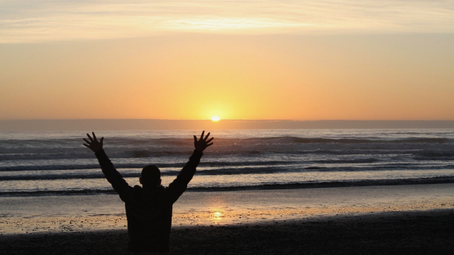 sunset_arms_up_silhouette
