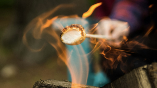 toasting_marshmallows_campfire_sparks_unsplash