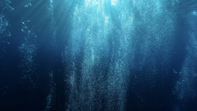 under_sea_light_unsplash
