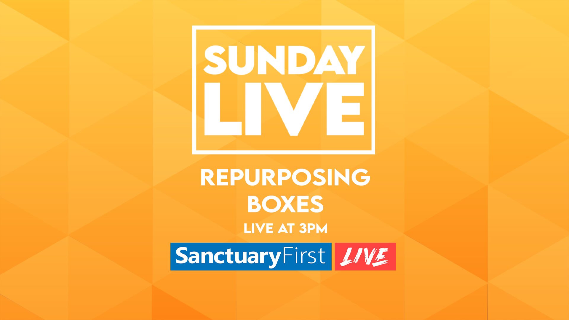 Sunday Live - Repurposing boxes