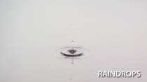 Raindrops