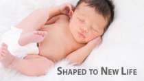 Shaped to new life