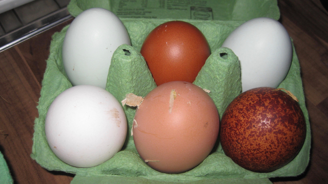 half_dozen_eggs