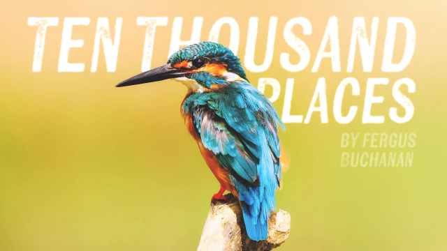Still Quarrying - Ten Thousand Places