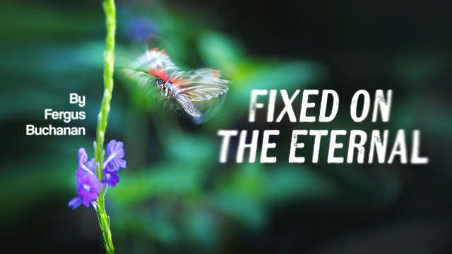 Still Quarrying - Fixed On The Eternal