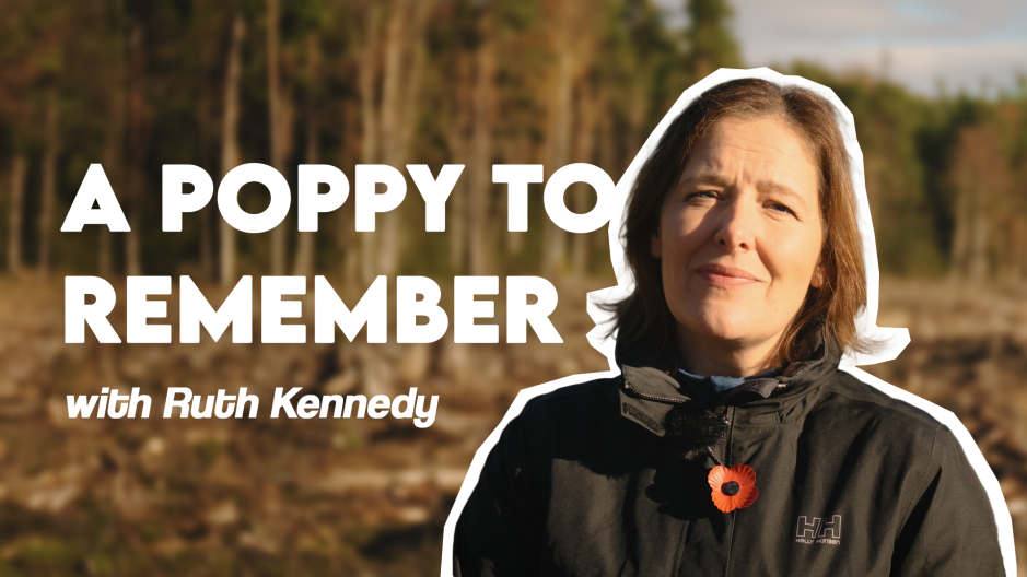 A Poppy To Remember