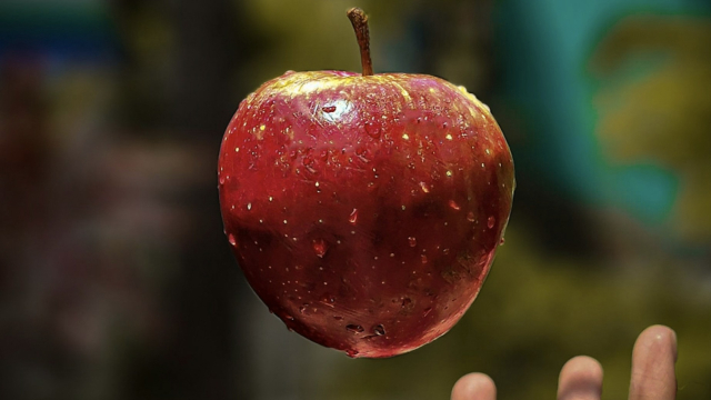apple_throw_catch_unsplash