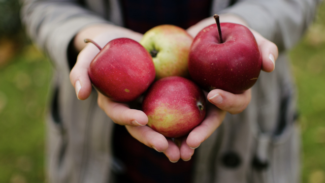apples_hands_fruit_unsplash