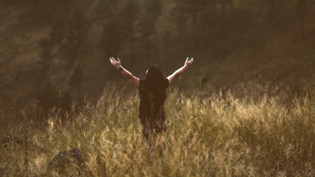 arms_outstretched_field_unsplash