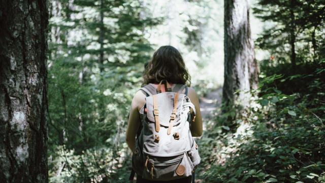 backpack_walking_hiking_forest_unsplash