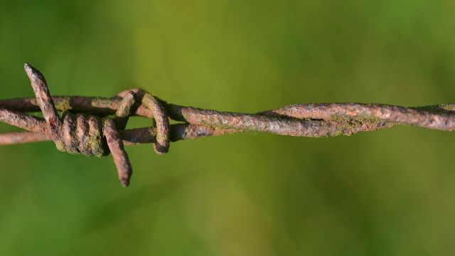 barbed_wire_rusty