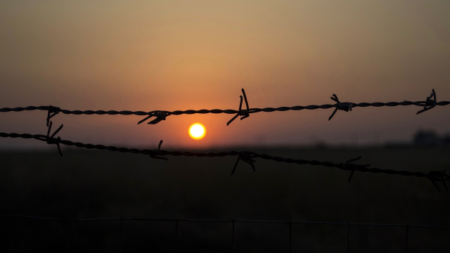 barbed_wire_sunset