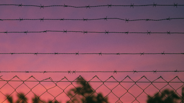 barbed_wire_sunset_trees_unsplash