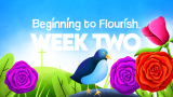 Week Two