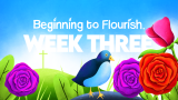 Week Three