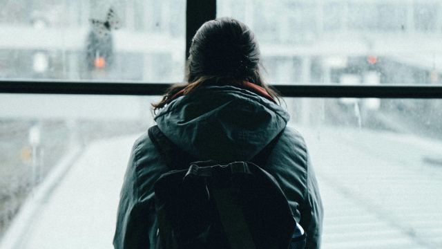 bench_window_backpack_unsplash