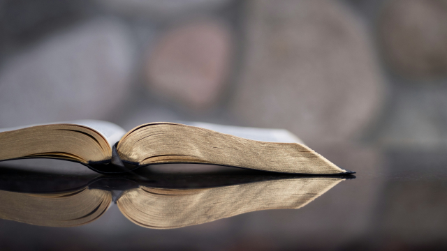 bible_reflection_table_unsplash