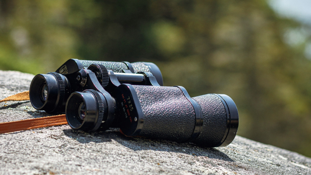 binoculars_vision_wall_trees_unsplash