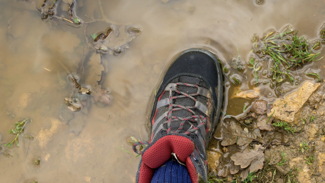 boot_muddy_puddle_hiking_unsplash