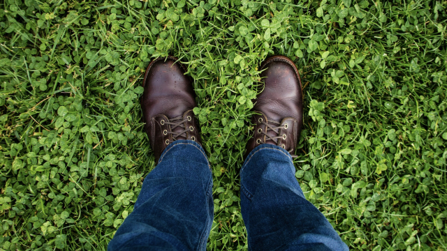 boots_looking_down_unsplash