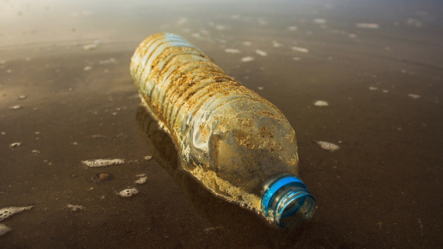 bottle_beach_litter_unsplash