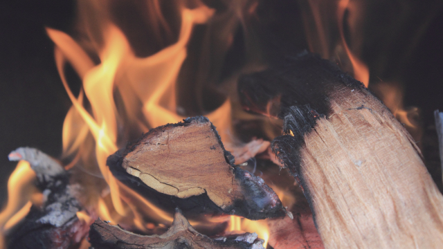 burning_log_fire_unsplash