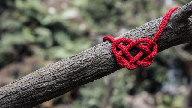 celtic_knot_heart_unsplash