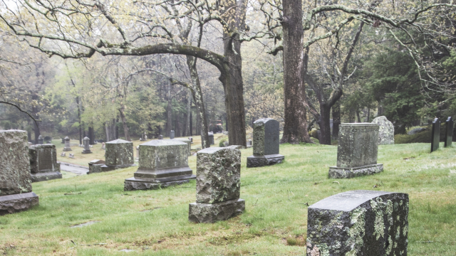 cemetery_gravestones_trees_unsplash