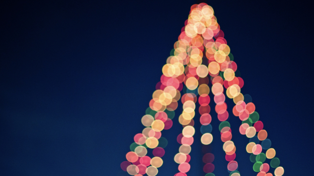 christmas_lights_tree_abstract_unsplash