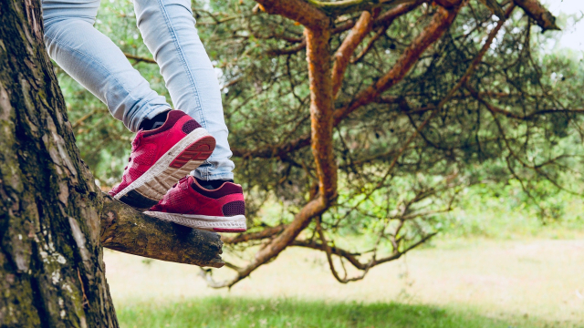 climbing_tree