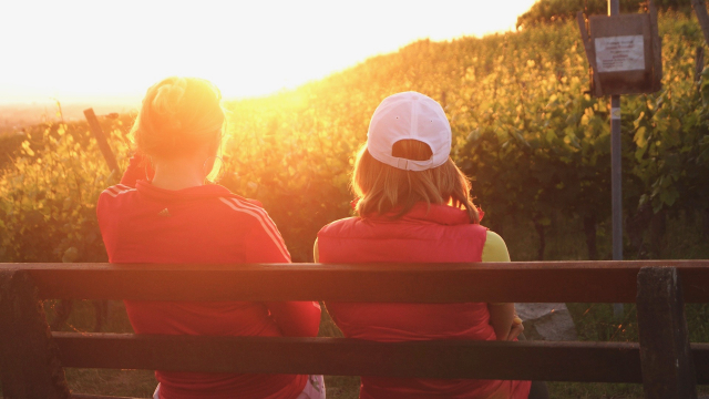 conversation_bench_sunset