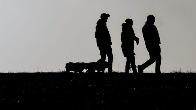 dog_walking_silhouette_unsplash