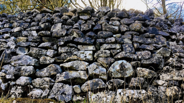 dry_stone_wall